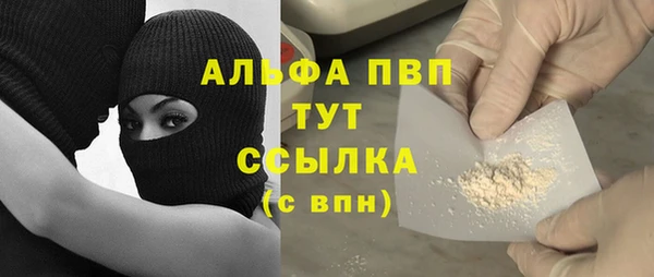 СК Ступино