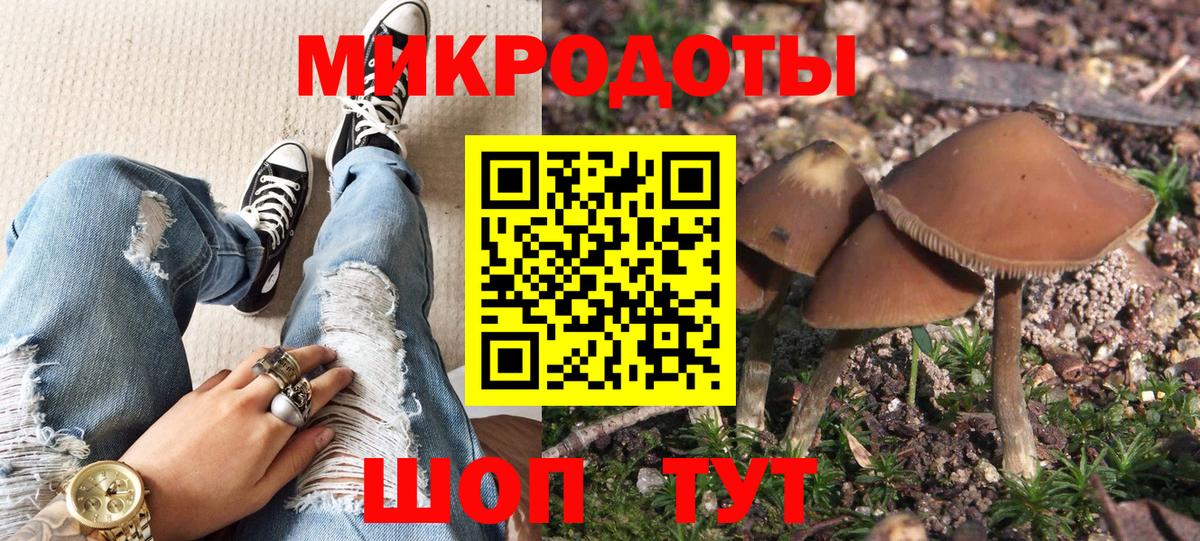 Псилоцибиновые грибы мицелий Урус-Мартан