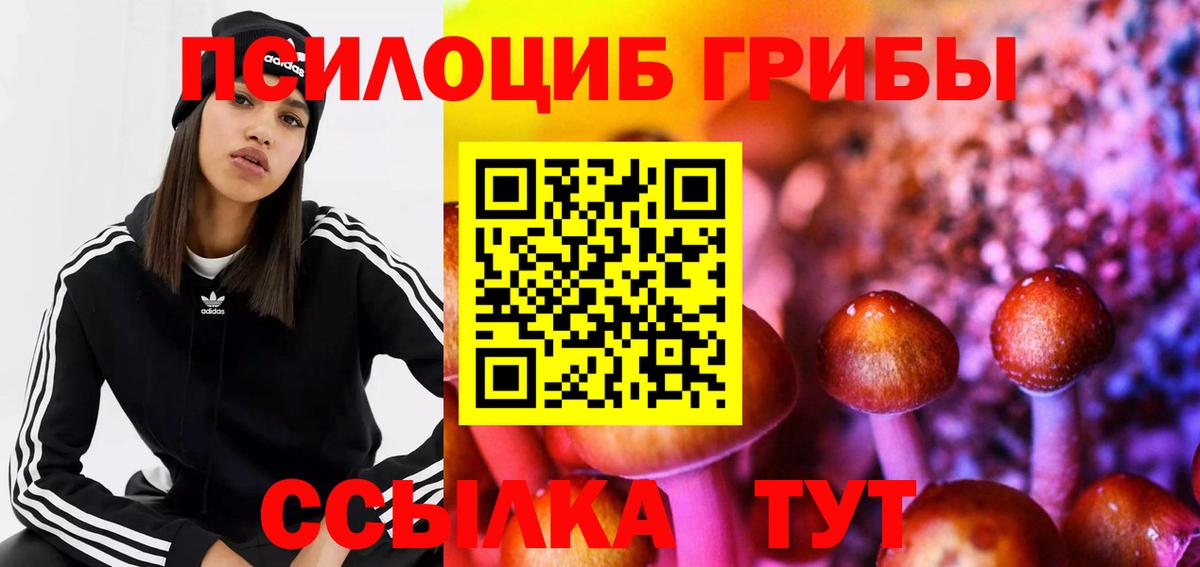 Галлюциногенные грибы Psilocybe  Галлюциногенные грибы мицелий  Урус-Мартан  Вход с VPN 
